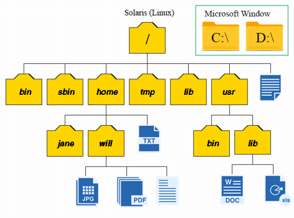 Cấu trúc thư mục dạng cây - Minh họa cấu trúc thư mục trong File System