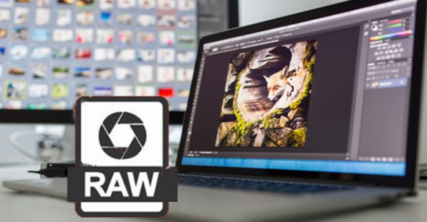 Tìm hiểu về định dạng ảnh RAW Sony ARW