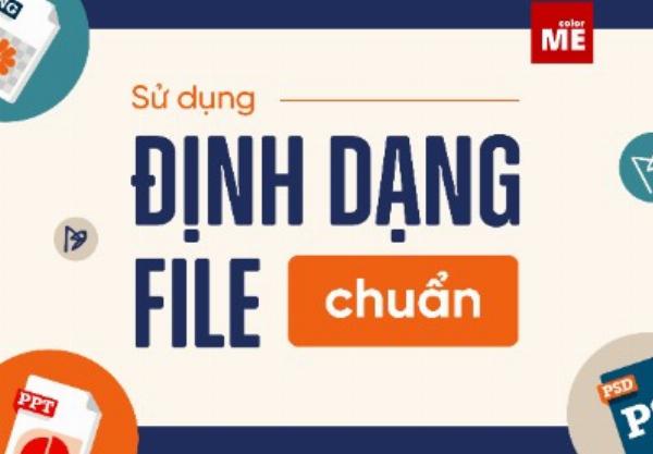 File TIFF Là Gì? Giải Mã Định Dạng Ảnh Chất Lượng Cao