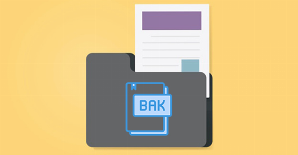 File BAK Là Gì? Tất Tần Tật Thông Tin Cần Biết Về File .bak