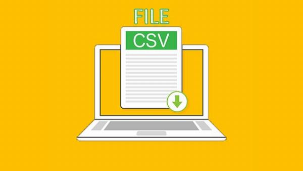 File CSV Là Gì? Hướng Dẫn Toàn Tập Về File CSV Cho Người Mới Bắt Đầu