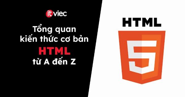 File HTML là gì? Giải mã ngôn ngữ nền tảng của thế giới web