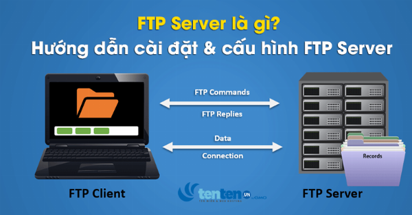 Hướng Dẫn Cài Đặt File Server - Các Bước Cơ Bản Để Thiết Lập Máy Chủ Tập Tin