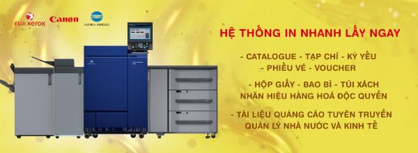 File Vector Là Gì? Khám Phá Sức Mạnh Đồ Họa Vector Trong Thiết Kế